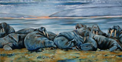 Click to see it big Seeloewen 161213, relaxend am Meer, gemalt mit Ölfarben